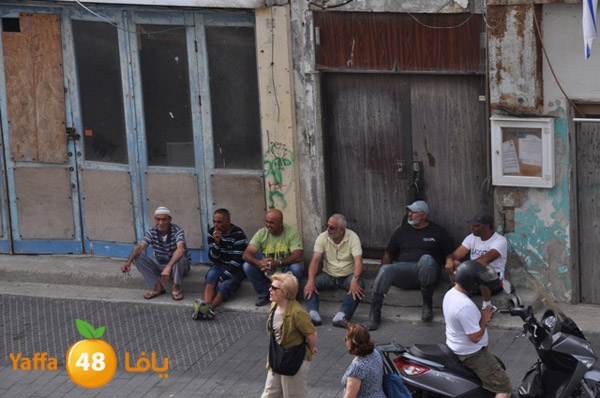 mina2yaffan51i (5).JPG